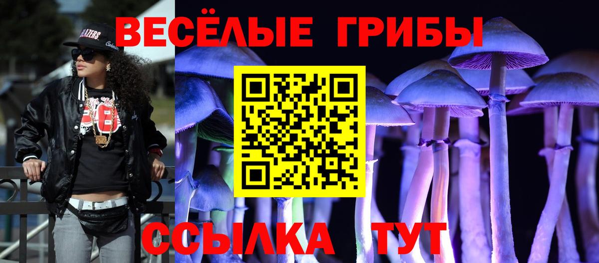 Сургут  Псилоцибиновые грибы Psilocybine cubensis  Вход с VPN 